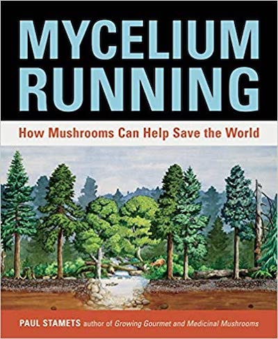 Mycelium Running Paul Stamets